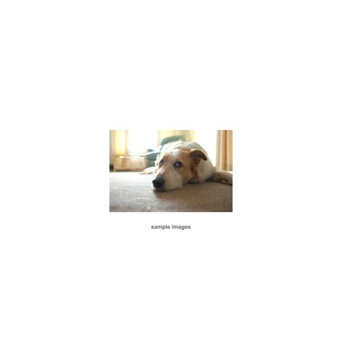Fujifilm XF 16mm f/1.4 R WR Lens