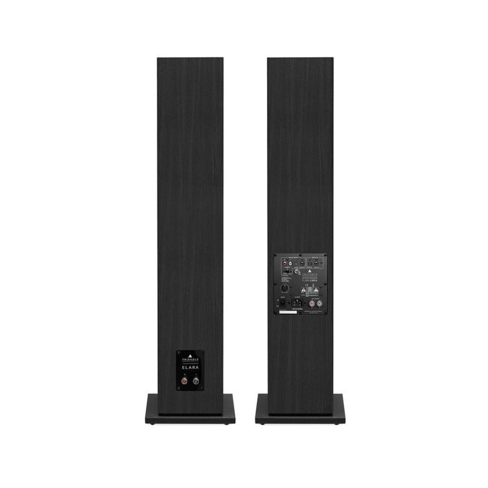 Triangle LN05A Bluetooth Floor Standing Speakers with 2x80W Amp (Black)