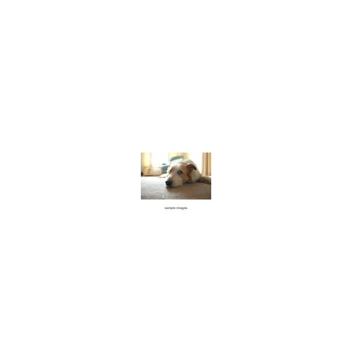 Fujifilm XF 16mm f/1.4 R WR Lens
