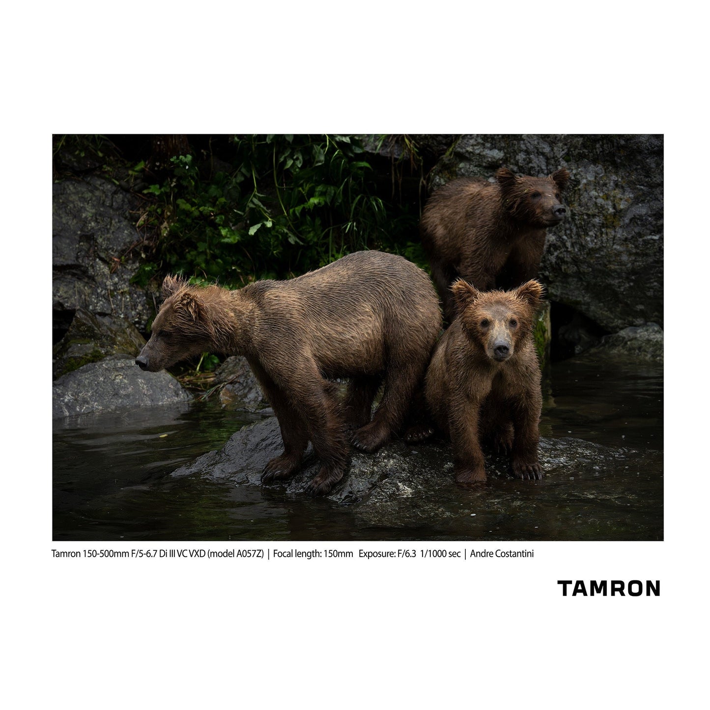 Tamron 150-500mm F/5-6.7 Di III VC VXD Lens for Nikon Z-Mount (Model A057Z)