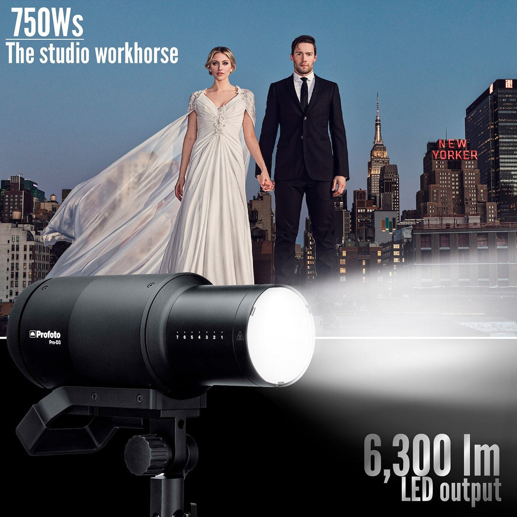 Profoto Pro-D3 750 (Used)