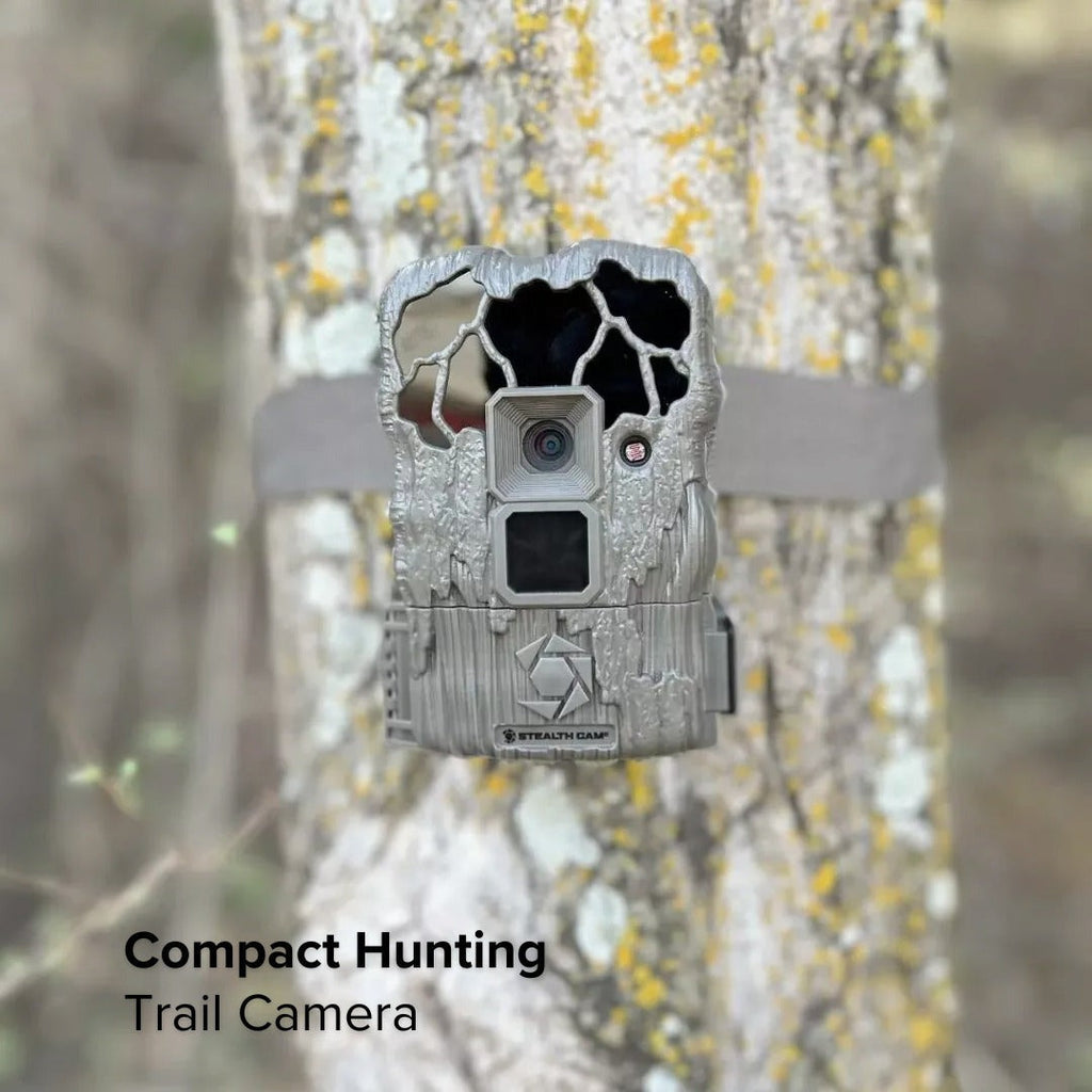 Stealth Cam 20MP Trail Camera with 60 Feet Range Detection (2-Pack) x 10 Bundle