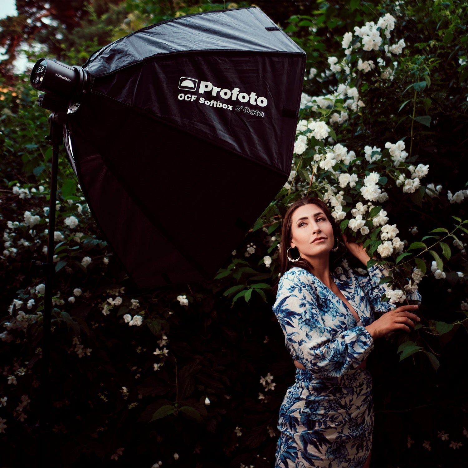 Profoto A2 Monolight Bundle Bundle Connect Pro Remote (Non-TTL) and Accessories