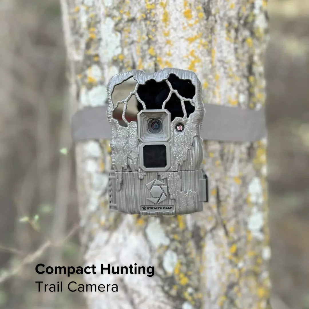 Stealth Cam 20MP Trail Camera with 60 Feet Range Detection (2-Pack) x 2 Bundle