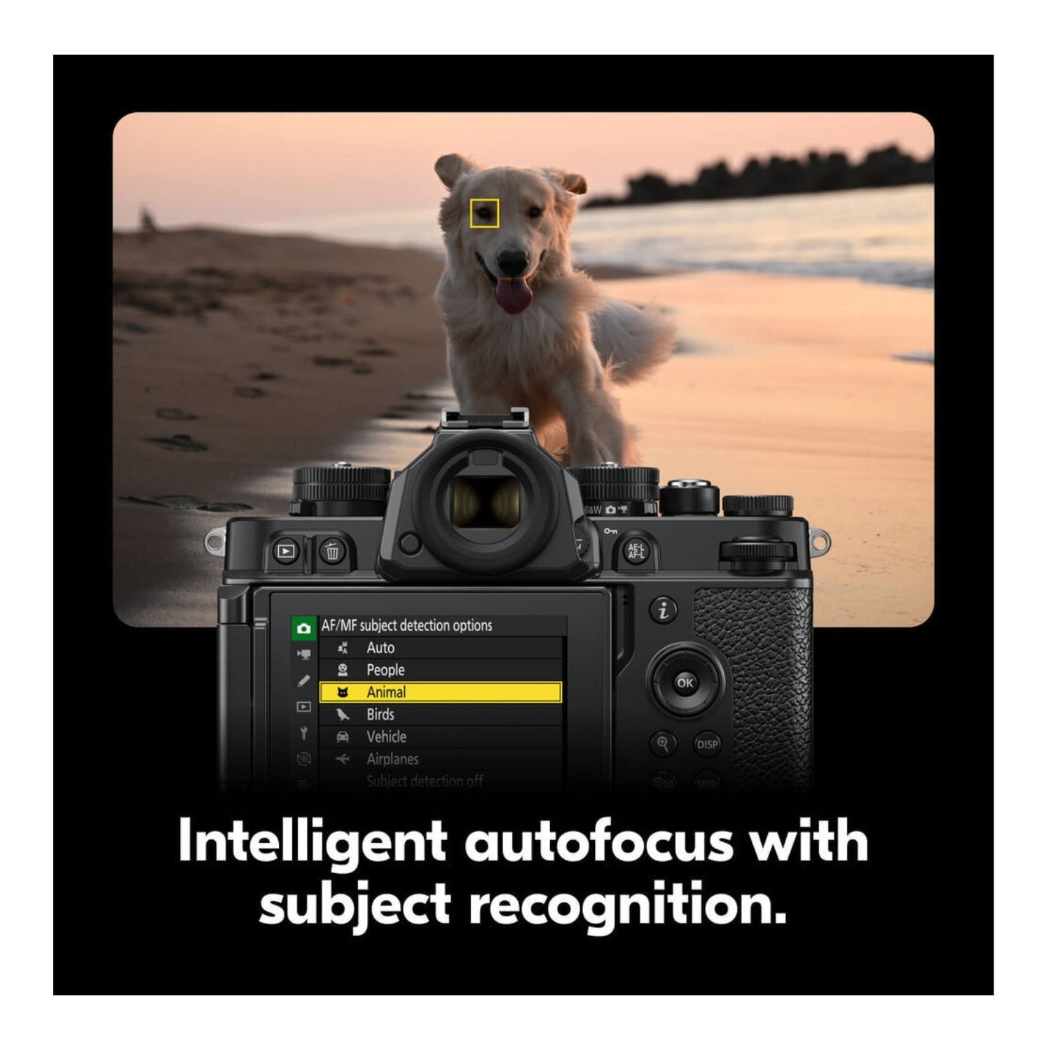 Nikon Zf Mirrorless Camera (Silver) with Accessories Bundle