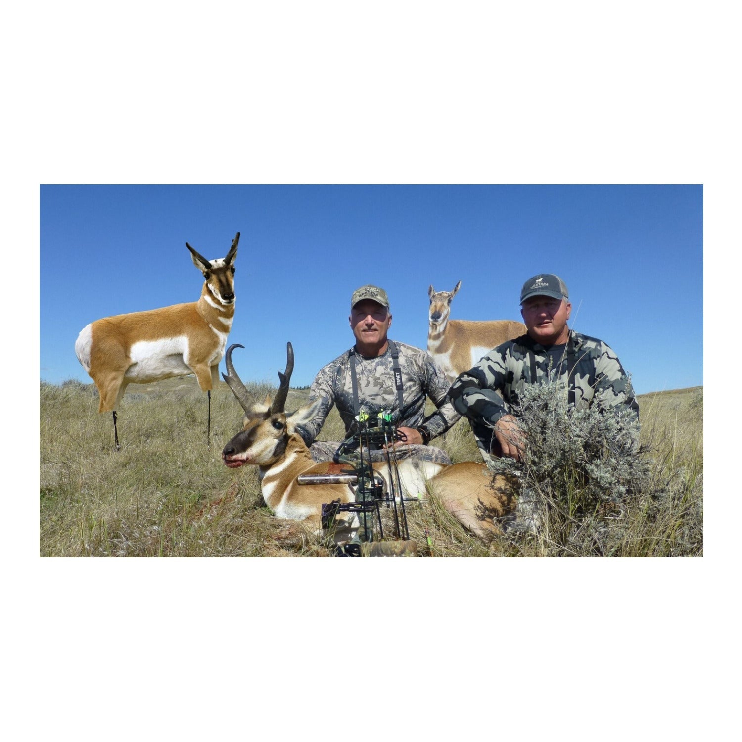 Montana Decoy Antelope Combo - Realistic Buck and Doe Set