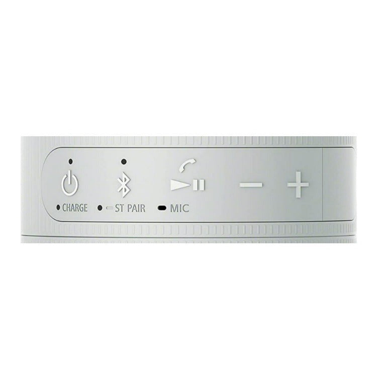 Sony SRS-XB100 Wireless Bluetooth Portable Lightweight Compact Travel Speaker with Strap (Gray)