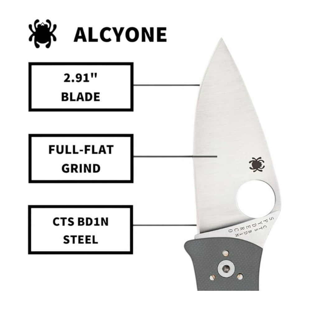 Spyderco Alcyone Gray Folding Knife with CTS BD1 PlainEdge Steel Blade
