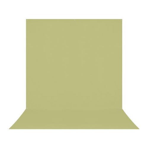 Westcott X-Drop Pro Wrinkle-Resistant 8 x 13 Feet Reflection-Free Backdrop (Light Green Moss)