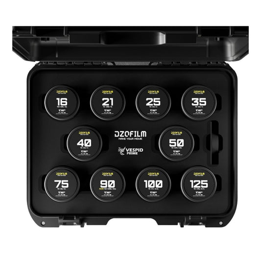 DZOFilm VESPID Prime Cine 10-Lens Kit with 270 Degrees Focus Rotation (PL and EF Mounts)