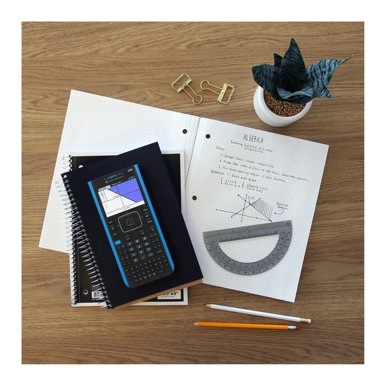 Texas Instruments TI-Nspire CX II CAS Graphing Calculator - Teacher's 10 Pack