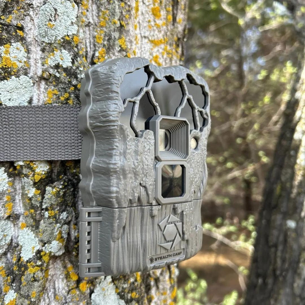 Stealth Cam 20MP Trail Camera with 60 Feet Range Detection and 720P Video Resolution (2-Pack) Bundle