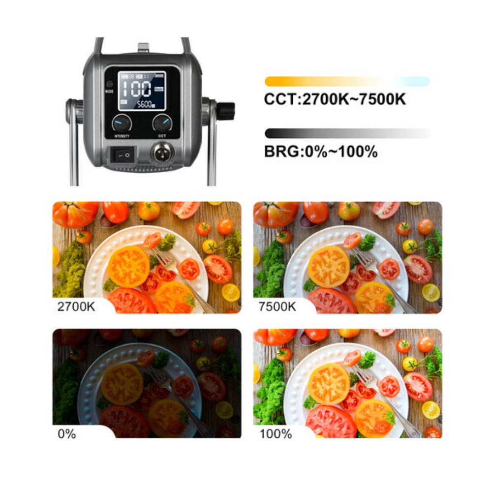 GVM PR150D Bi-Color LED Video Light Kit with Lantern Softbox