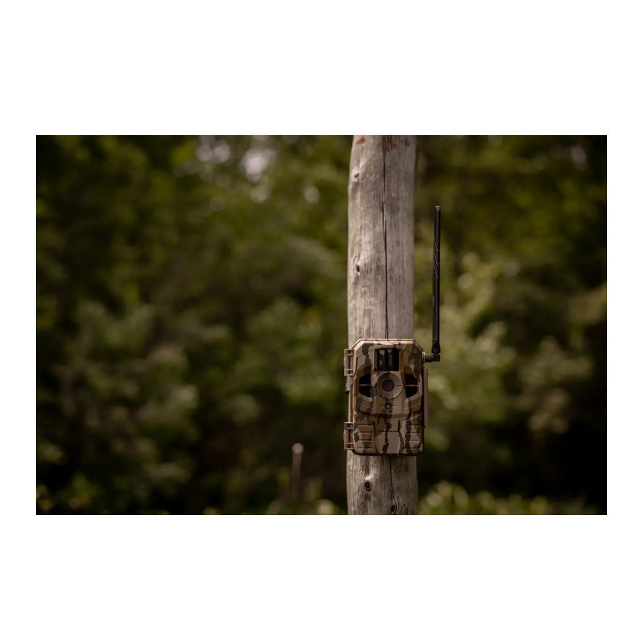 Stealth Cam Connect Cellular Trail Camera (Verizon)