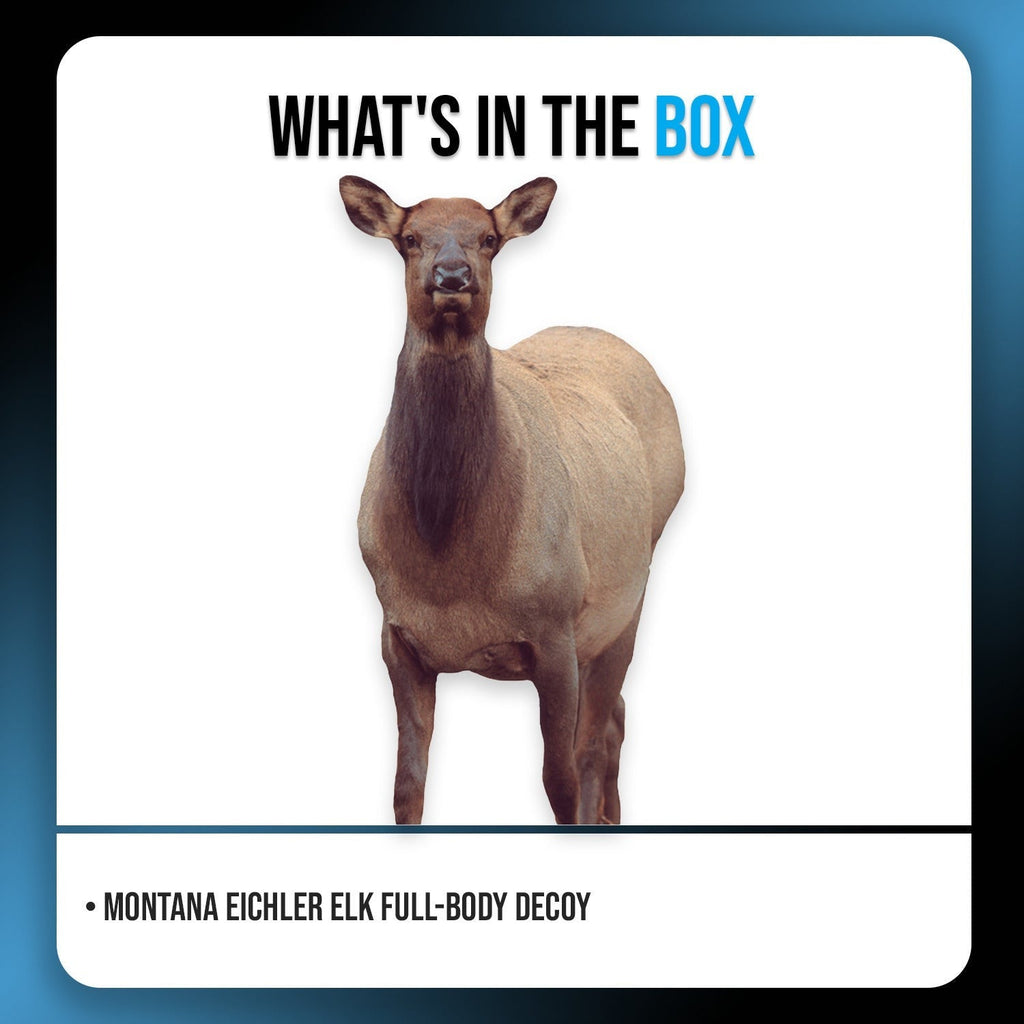 Montana Decoy Eichler Elk - Ultra-Portable, Full-Body Designed by Fred Eichler