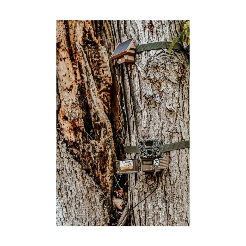 Browning Trail Cameras Universal Solar Camera Power Pack (4-Pack) with Card Reader Bundle
