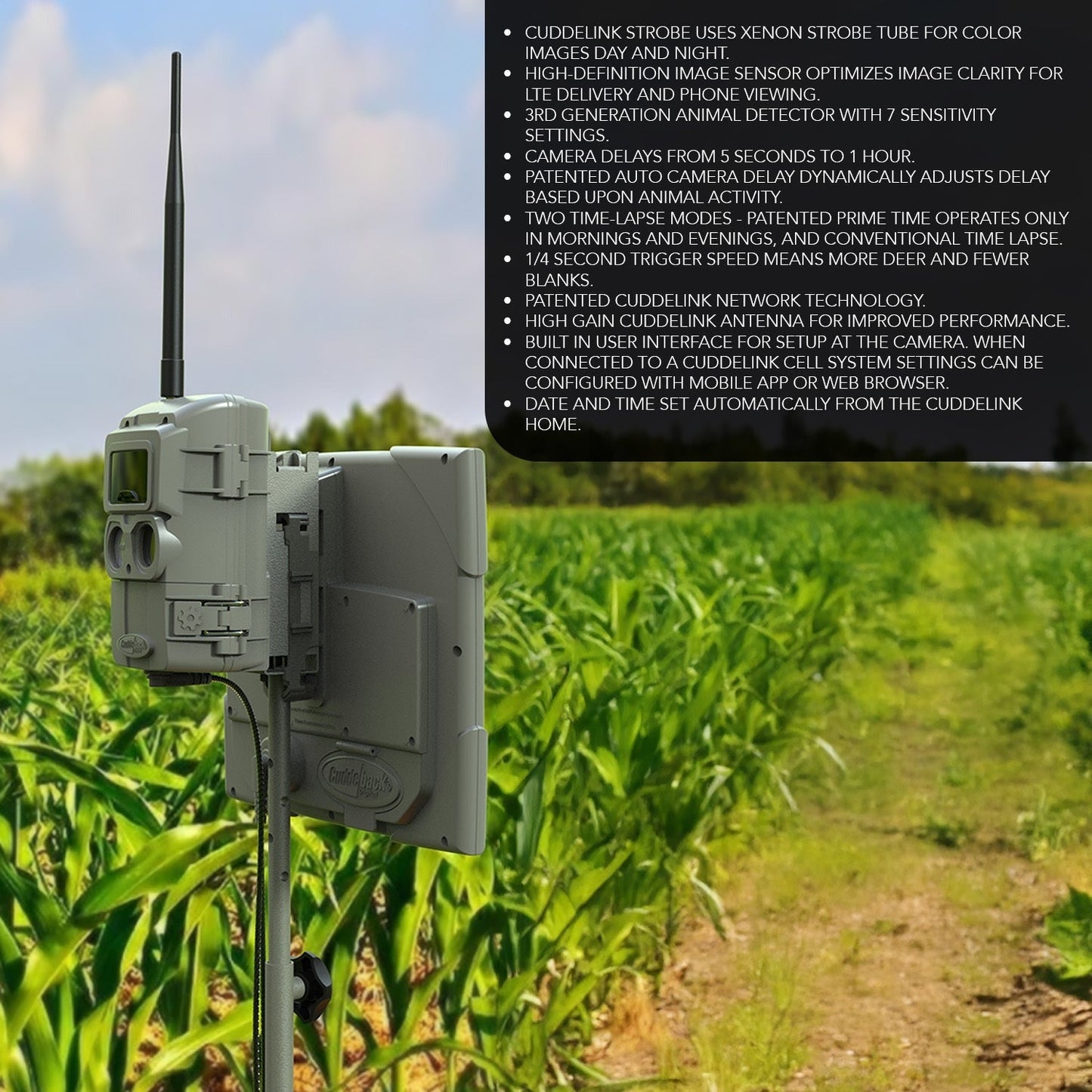Cuddeback CuddeLink 2+1 Starter Kit with Cell Home and IR Remote Cameras Bundle