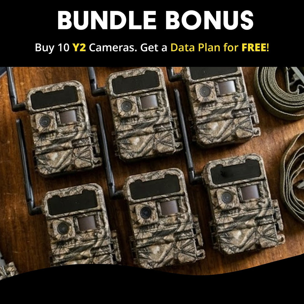 Yellowstone Y2 Black Wide Lens Trail Camera (6-Pack) with Security Box and Accs