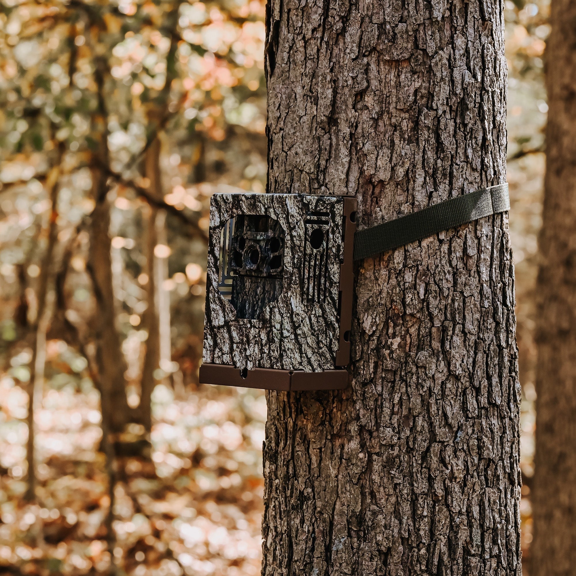 Browning Trail Camera Dark Ops FHDR 40MP Trail Camera Bundle