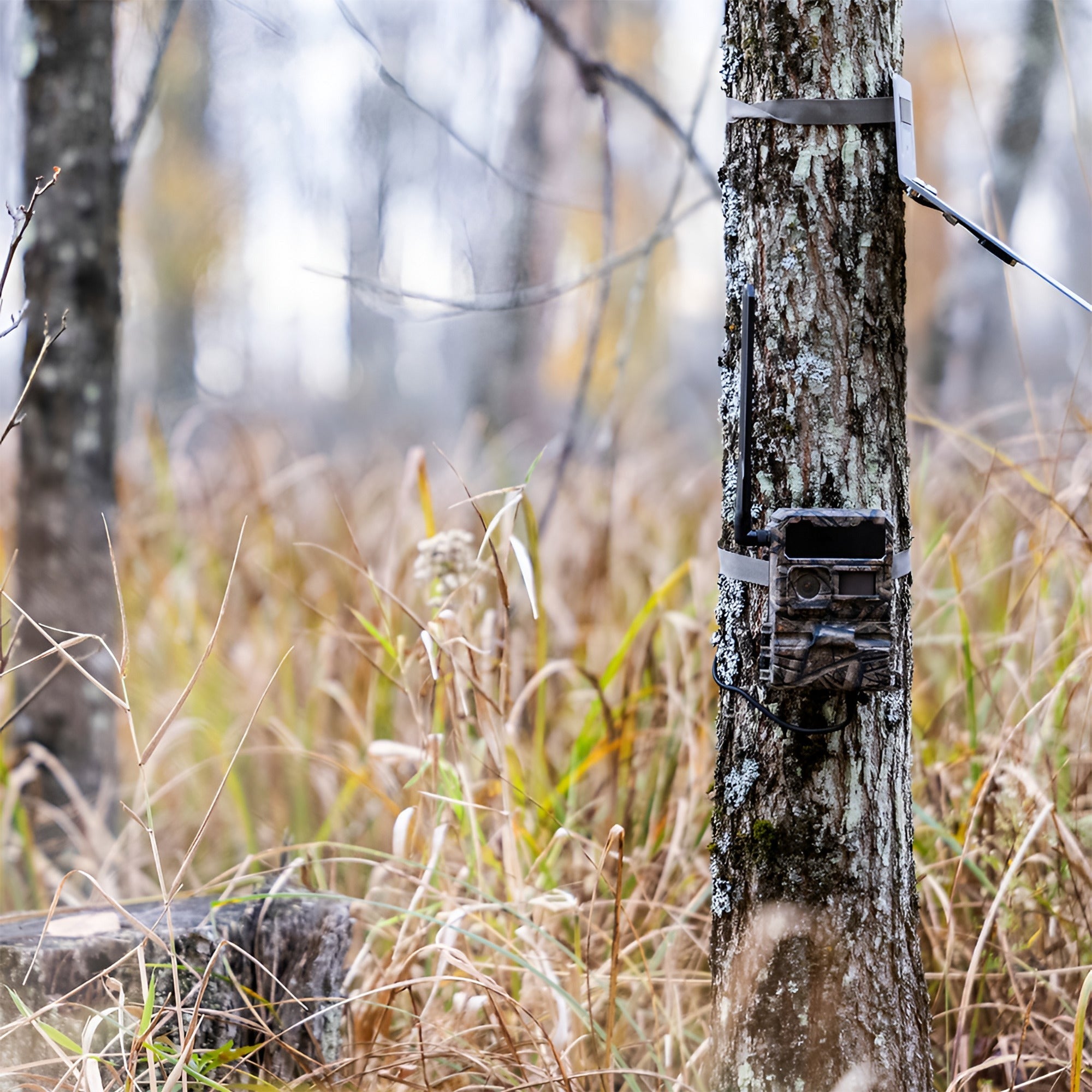 Yellowstone Y2 Black Wide Lens Trail Camera (6-Pack) with Security Box and Accs