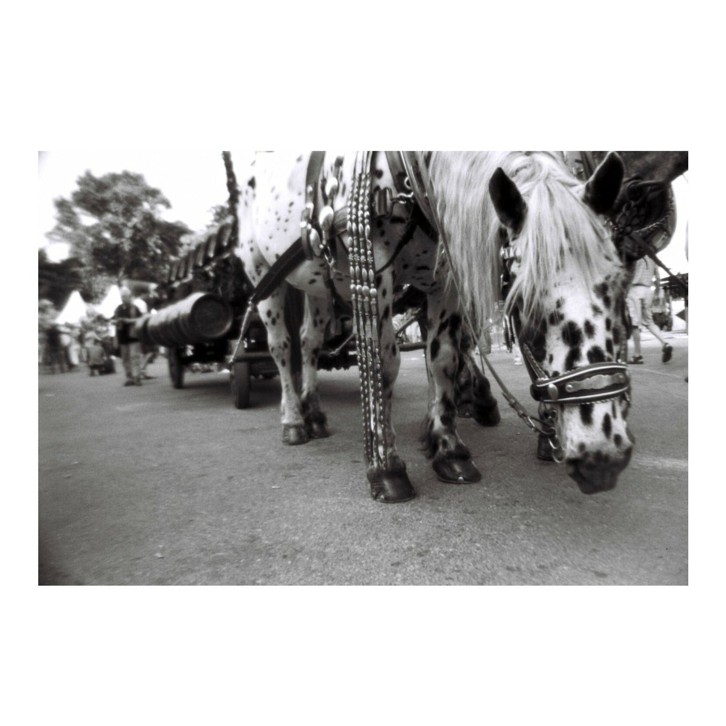 Lomography Lady Grey 400 ASA 35mm Film (3-Pack)