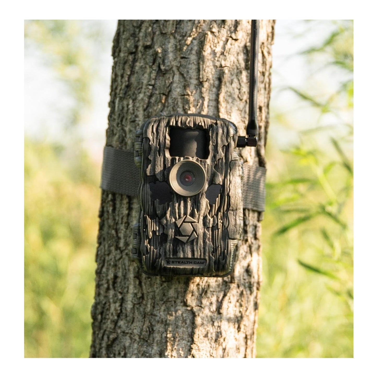 Stealth Cam Fusion X-Pro 36MP 720P Cellular Dual Sim Trail Camera 10-Pack Bundle