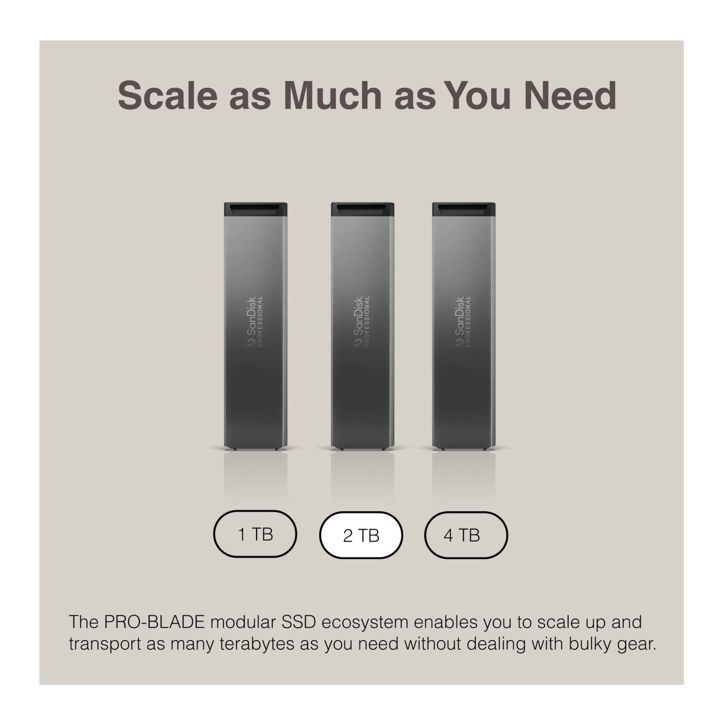 Sandisk Professional 2 TB Pro-Blade SSD MAG NvME with Pro-Blade Transport (0 TB)