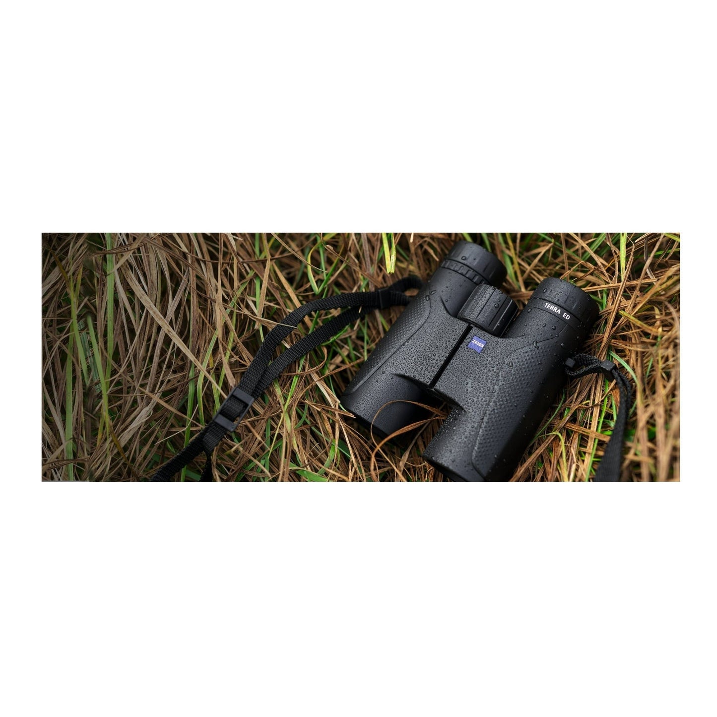 Zeiss Terra ED 8x25, Folding Design, Fast Focusing, Robust and Lightweight Pocket Binoculars (Black)