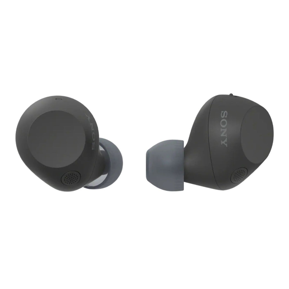 Sony Truly Wireless Noise-Canceling Earbuds (Black) Bundle with Case
