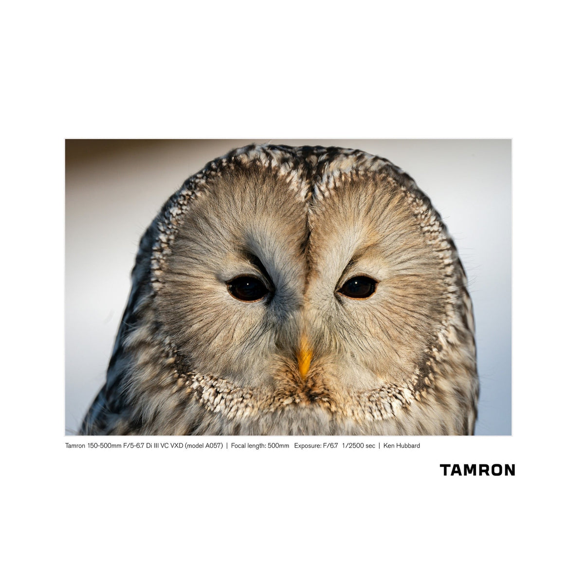 Tamron 150-500mm f/5-6.7 Di III VC VXD Lens for Sony Full-Frame Mirrorless
