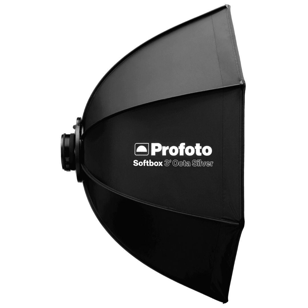 Profoto L600D LED Light 600W Flicker-Free Light with Softbox 3 ft. Octa Silver