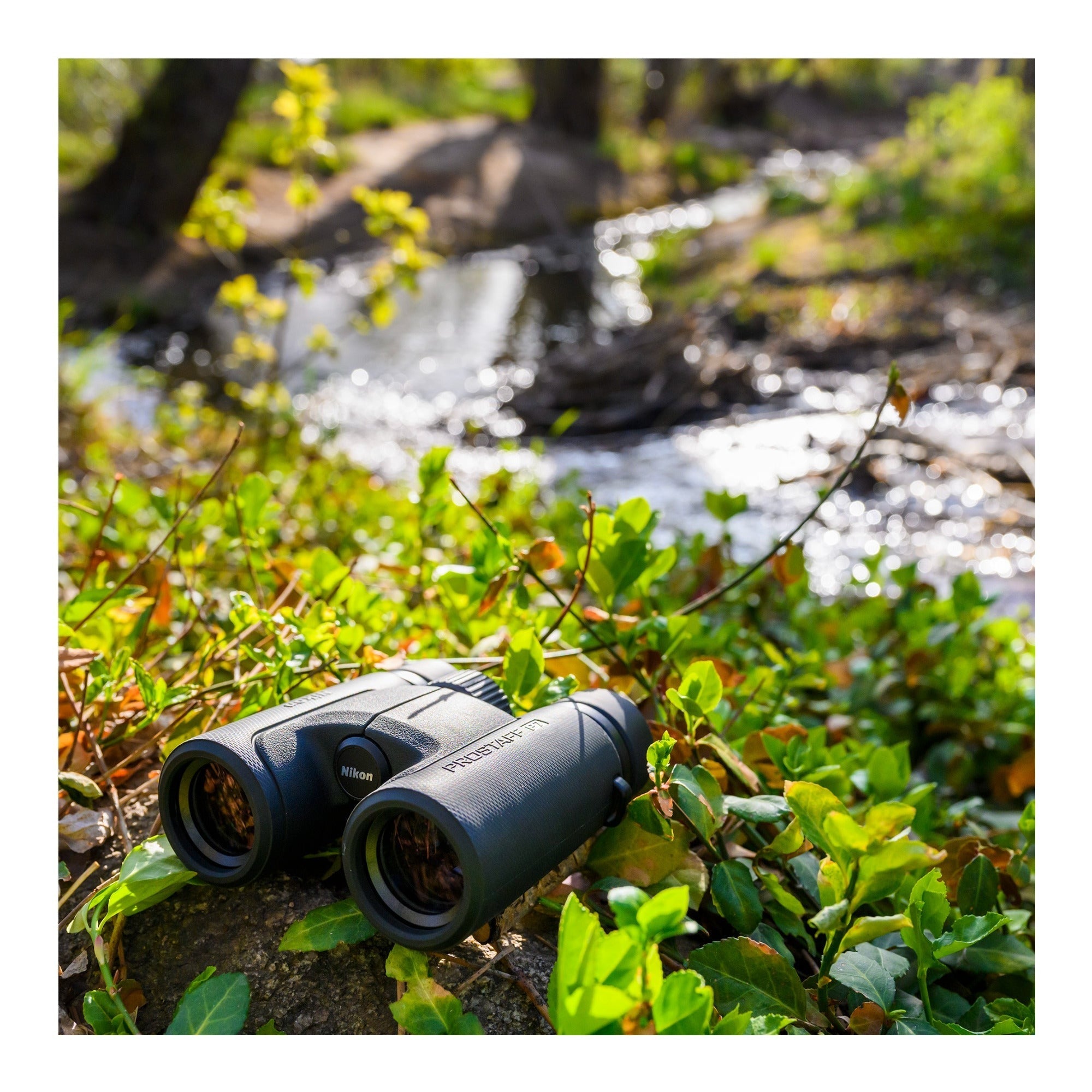 Nikon Prostaff P7 8X42 Binoculars