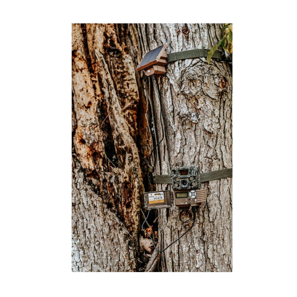 Browning Trail Camera Defender Wireless Pro Scout Max HD-DV Bundle