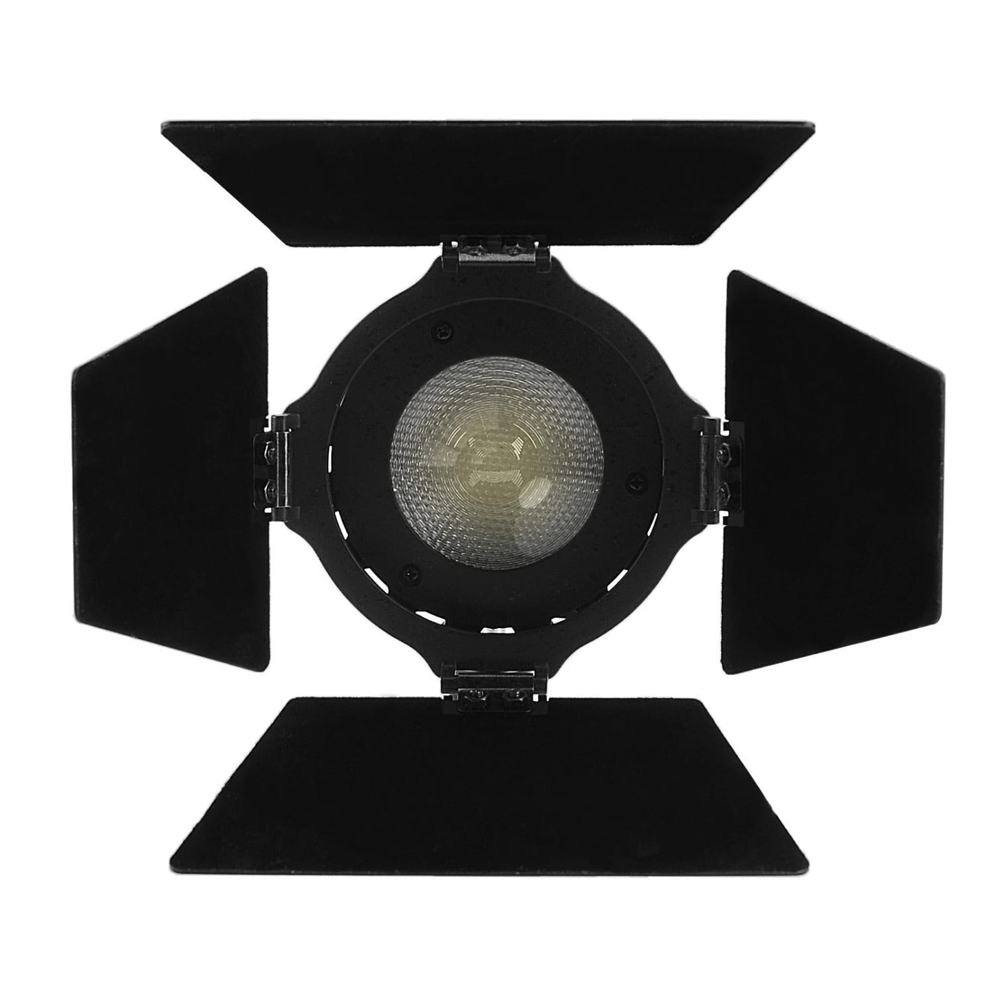 Aputure Light Storm LS-Mini 20D Daylight LED Light