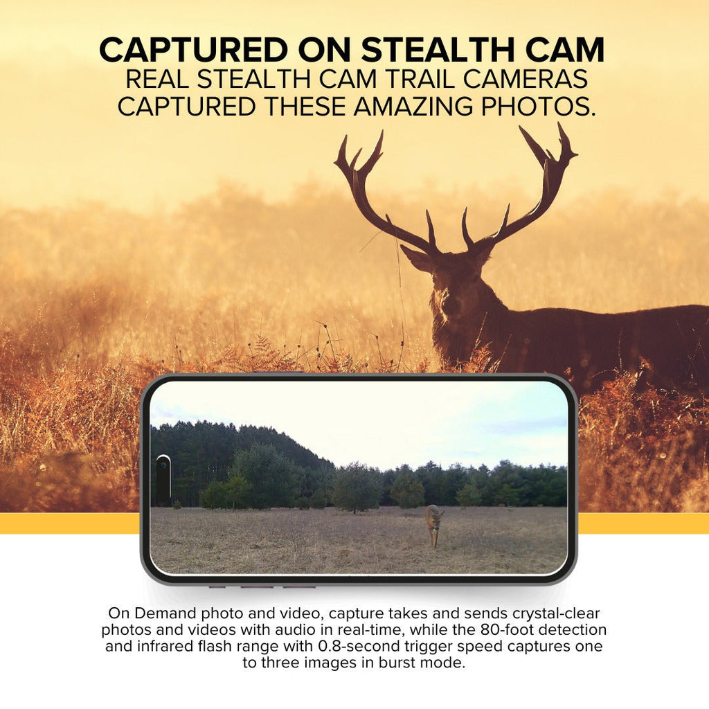 Stealth Cam 20MP Trail Camera with 60 Feet Range Detection (2-Pack) x 2 Bundle