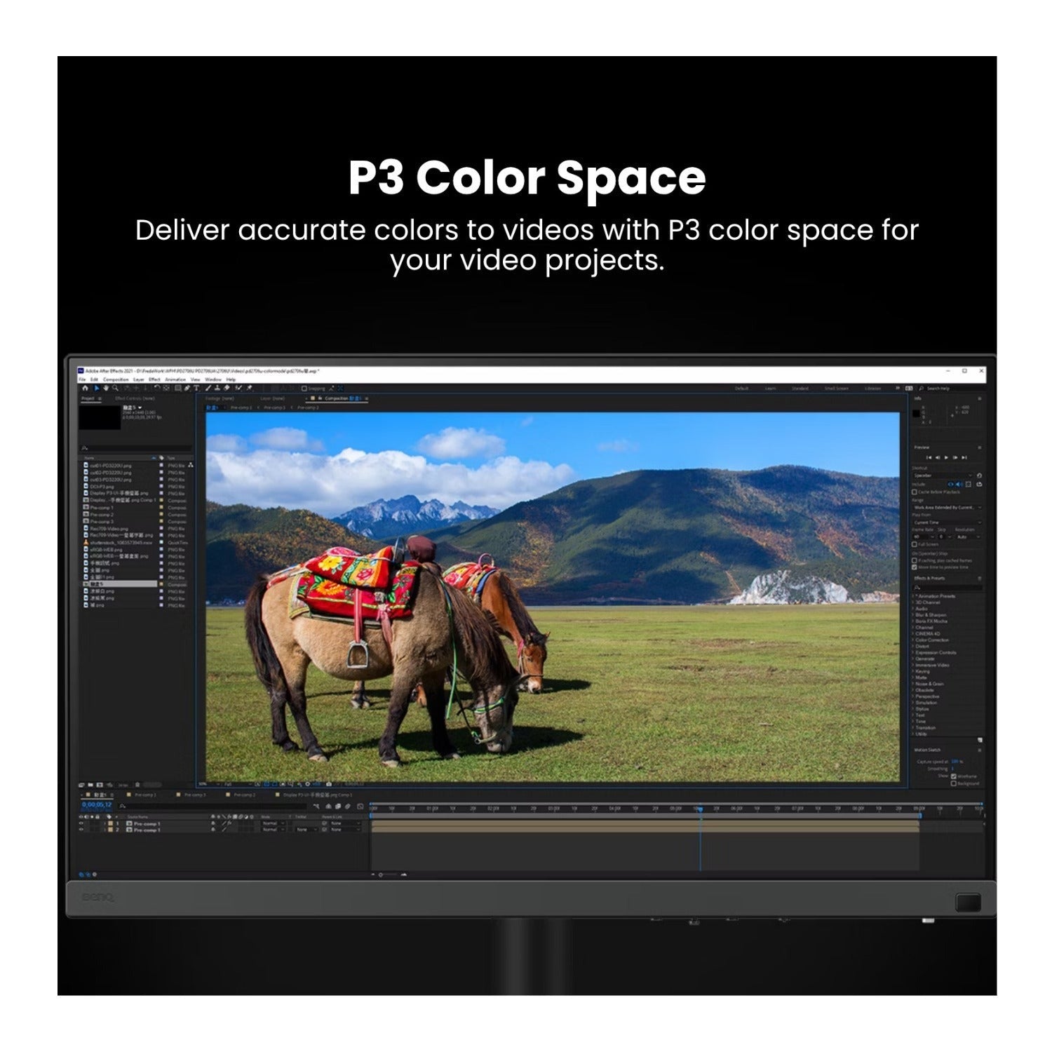 BenQ PhotoVue SW272Q 27-Inch 1440p HDR Monitor (Black) Bundle