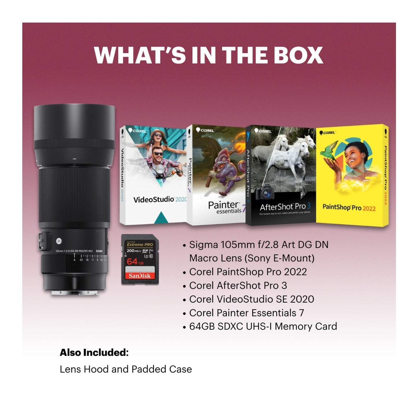 Sigma 105mm f/2.8 Art DG DN Macro Lens (Sony E-Mount) Bundle with Accessories