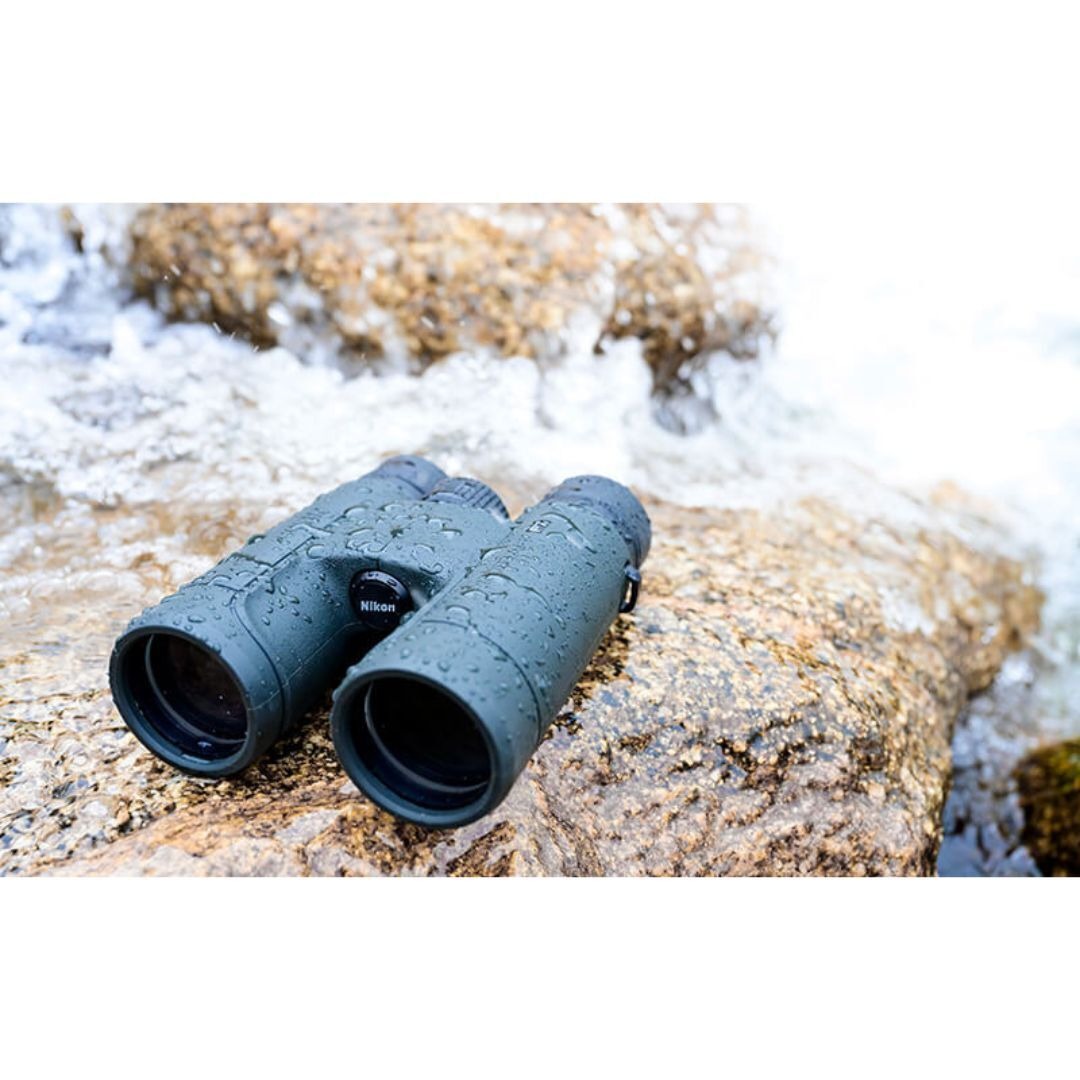 Nikon PROSTAFF P7 8x42 Waterproof/Fogproof Full-Size Binoculars (Black) (Certified Refurbished)