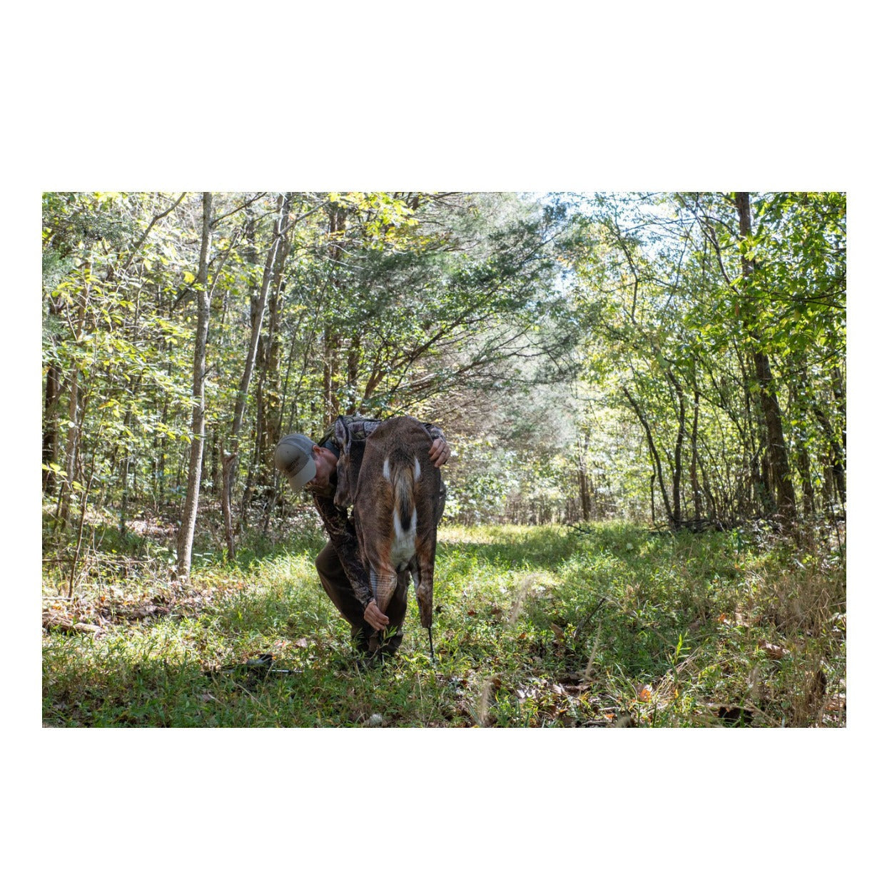 Montana Decoy Deer Rump Whitetail Decoy Lightweight and Foldable Hunting Decoy