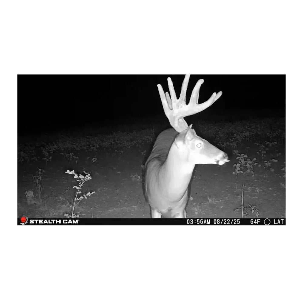Stealth Cam Deceptor Max 3.0 50MP Cellular Trail Camera (2-Pack)