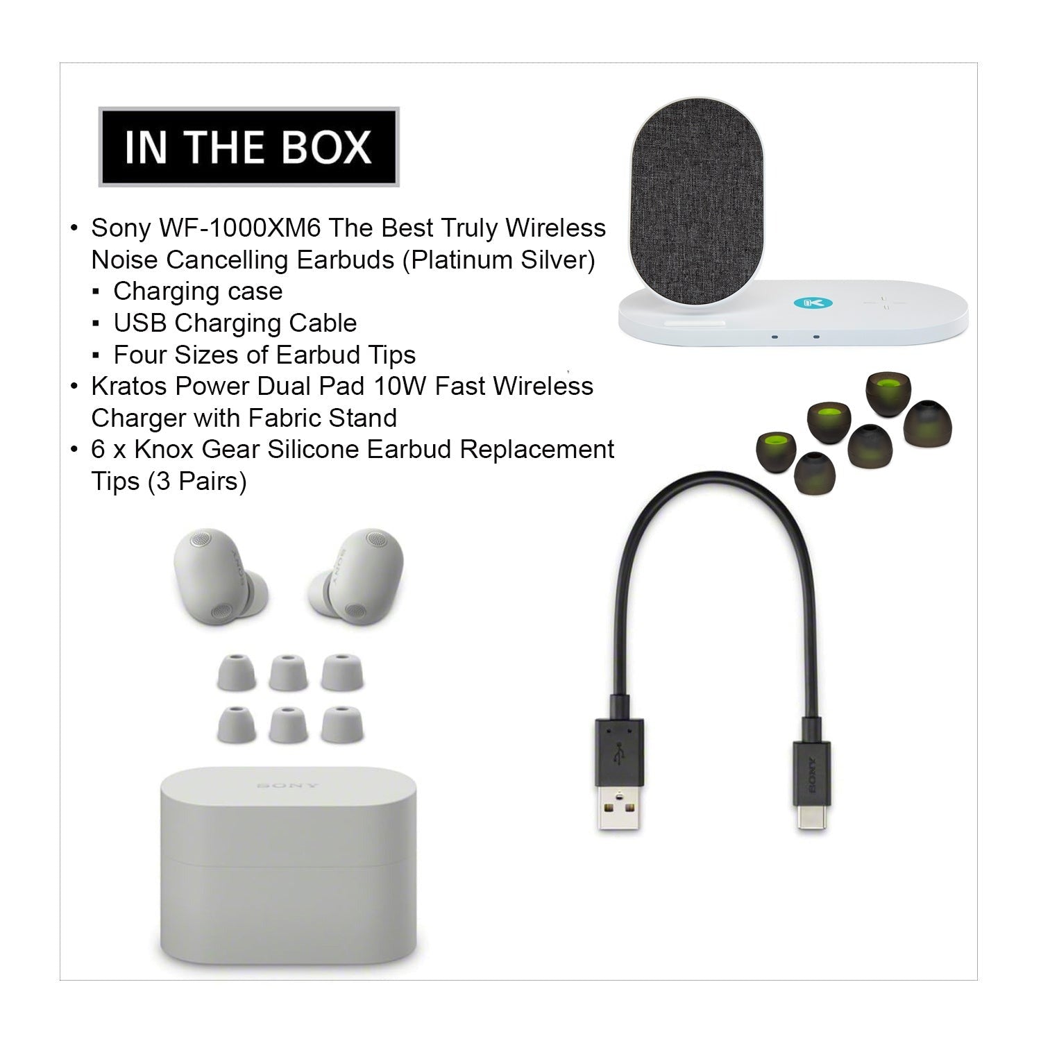 Sony WF-1000XM6 Wireless Earbuds (Platinum Silver) with Accessories Bundle