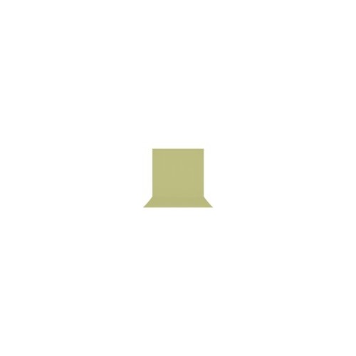 Westcott X-Drop Pro Wrinkle-Resistant 8 x 13 Feet Reflection-Free Backdrop (Light Green Moss)