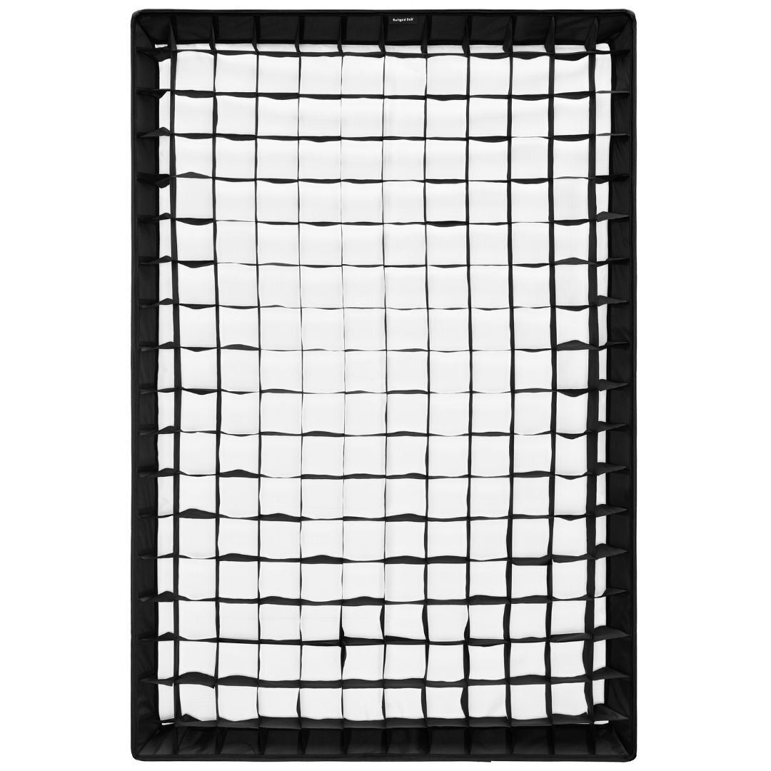 Profoto L600C LED Light Bundle with Rectangular Softbox and Softgrid