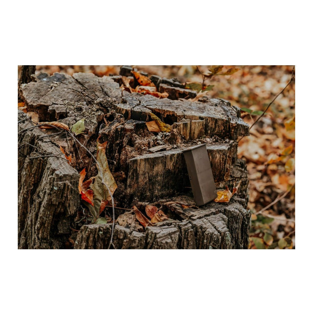 Browning Trail Cameras Rechargeable Battery Power Pack (2-Pack) Bundle