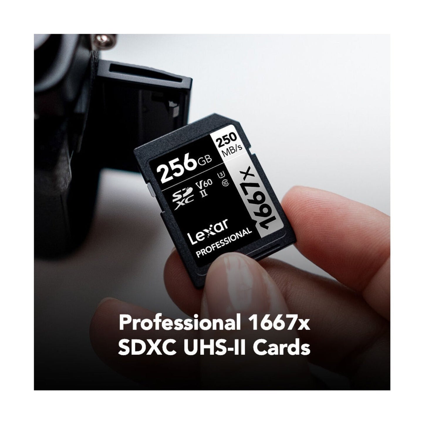 Lexar Professional SDXC 1667X UHS-II V60 4K 256GB Memory Card (2-Pack)