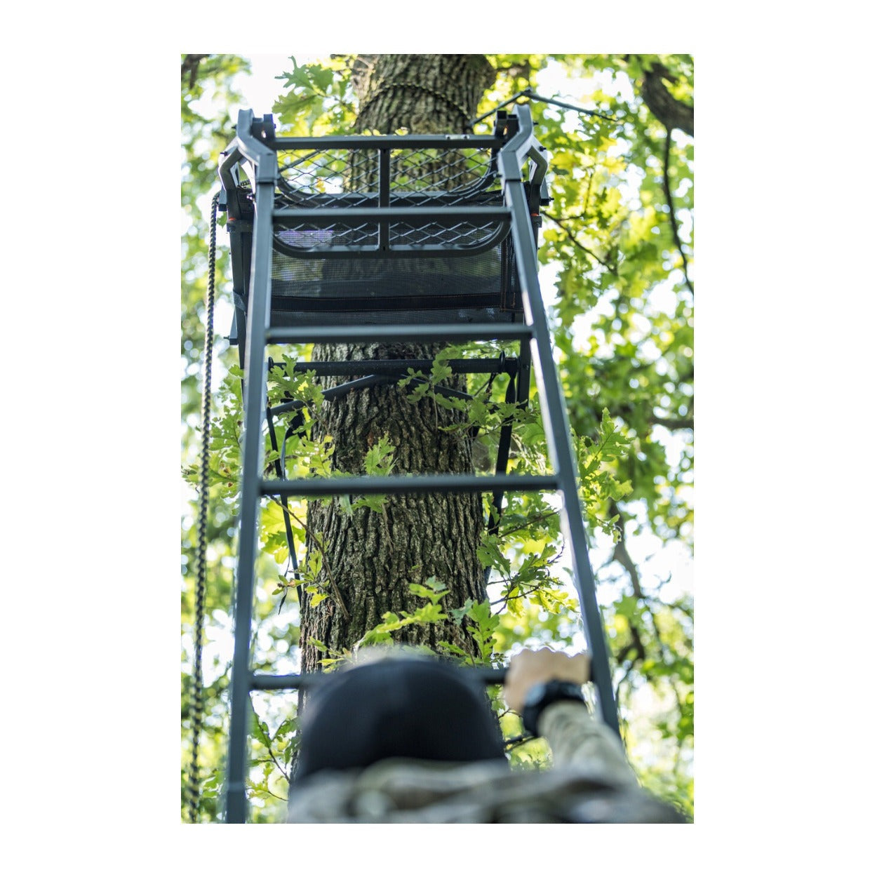 Big Game Treestands Warrior Elite Ultra-Wide 17 ft Climbing Tree Stand