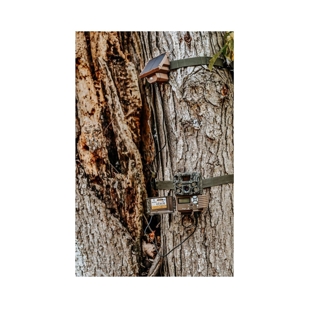 Browning Trail Cameras Universal Solar Camera Power Pack (10-Pack) with Card Reader Bundle
