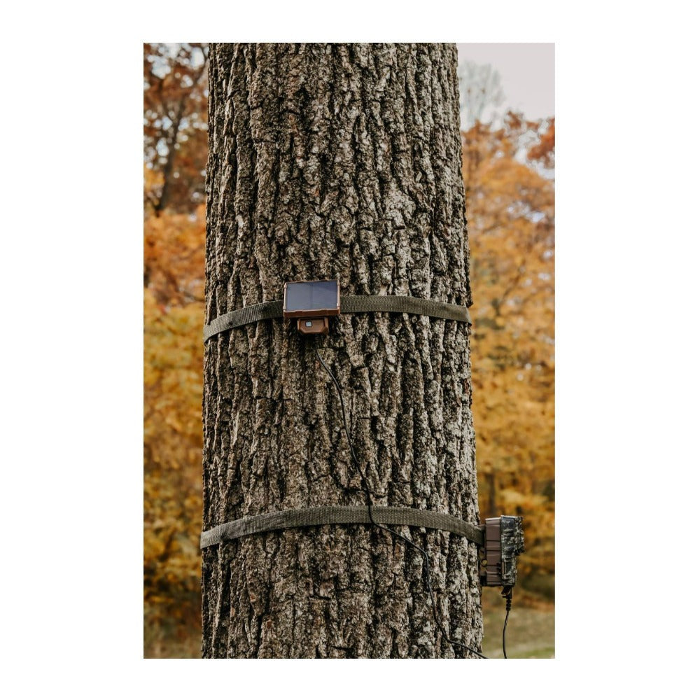 Browning Trail Camera Strike Force FHDR 40MP (4-Pack) with Accessories Bundle