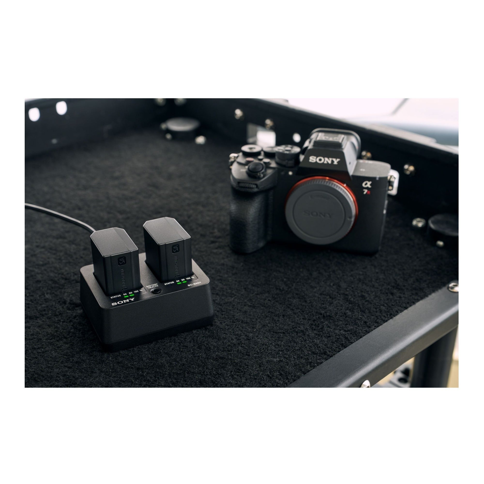 Sony NP-SA100 2670mAh Rechargeable Battery Pack with Hard Case Bundle