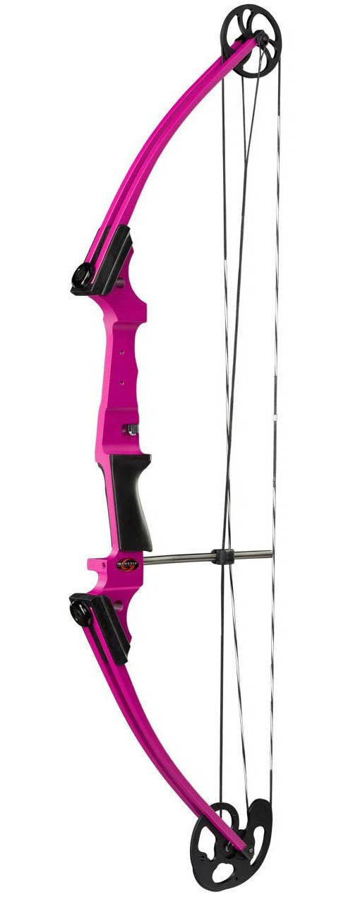 Genesis Archery Original Compound Bow (Right Hand, Purple)